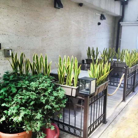 Sea View Free Parking